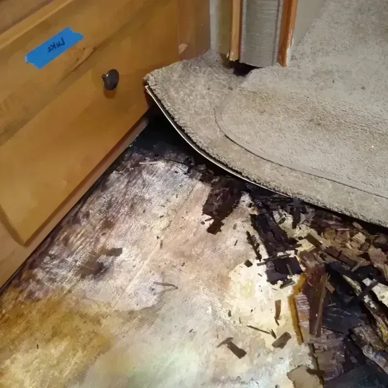 Wood Floor Water Damage in Colorado City, AZ